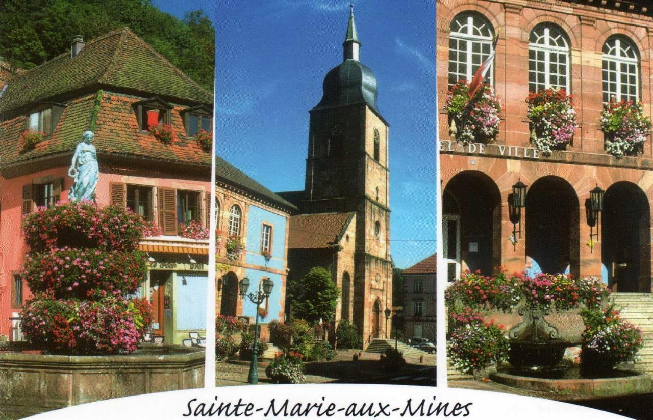 Les Lilas Sainte-Marie-aux-Mines Eksteriør bilde